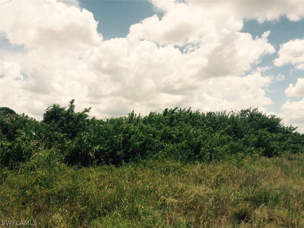3207 12th Street Southwest Lehigh Acres, FL 33976 - Photo 3 of 6 a view of a green field with lots of trees