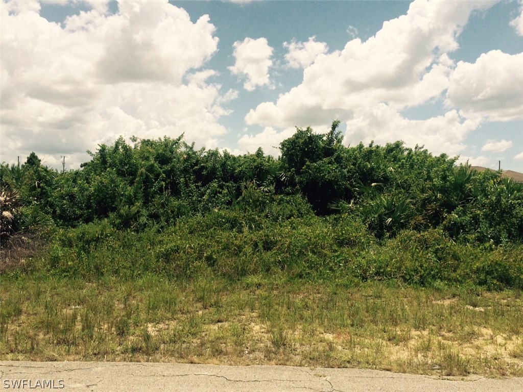 3207 12th Street Southwest Lehigh Acres, FL 33976 - Photo 4 of 6 a view of a lake view