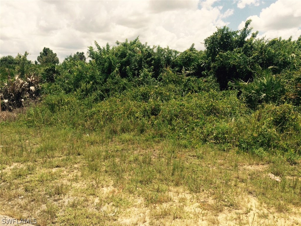 3207 12th Street Southwest Lehigh Acres, FL 33976 - Photo 6 of 6 a view of a yard with plants and large trees