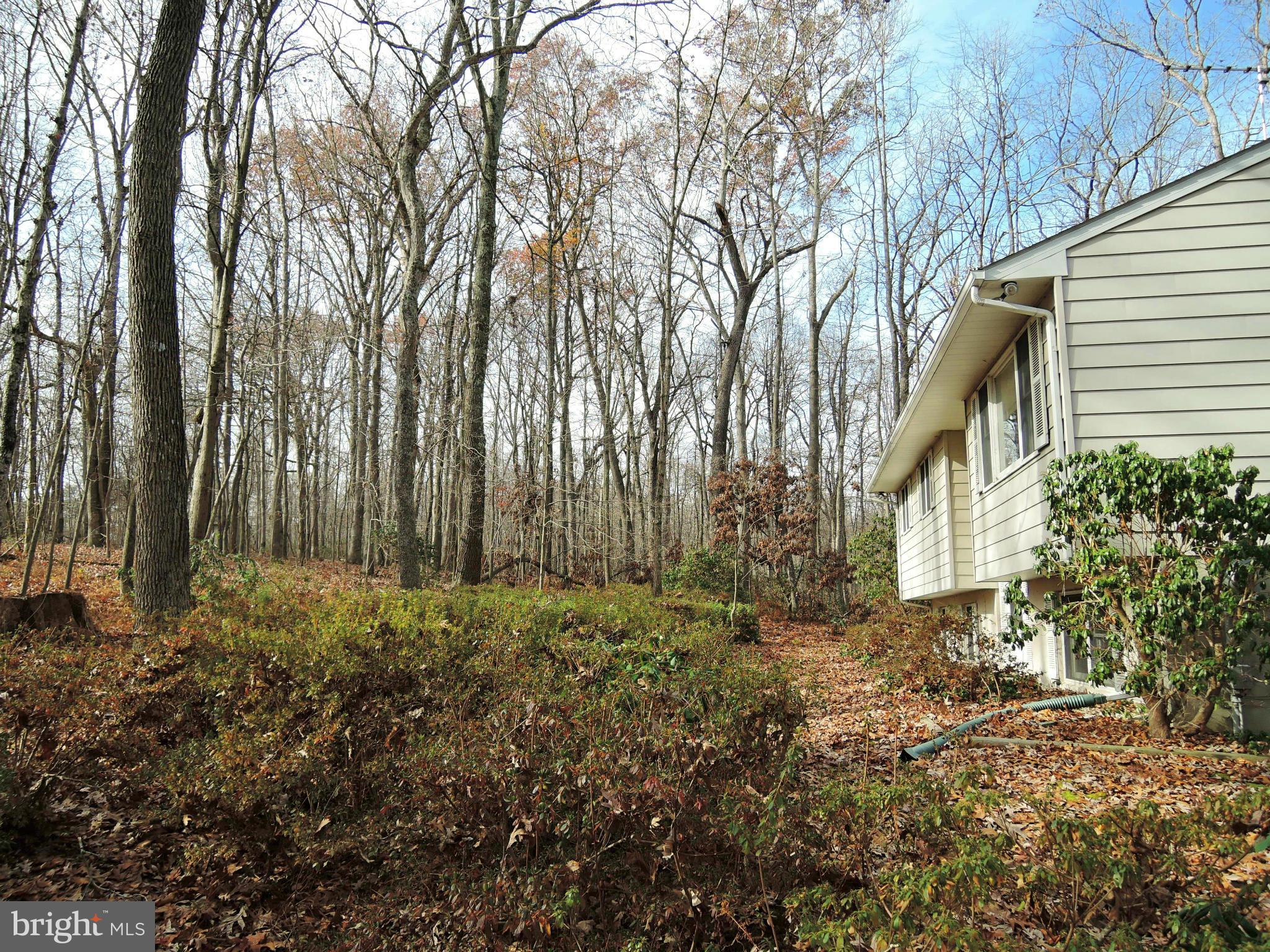 1010 Cold Bottom Road Sparks, MD 21152 - Photo 2 of 30 a view of a backyard with plants and large trees
