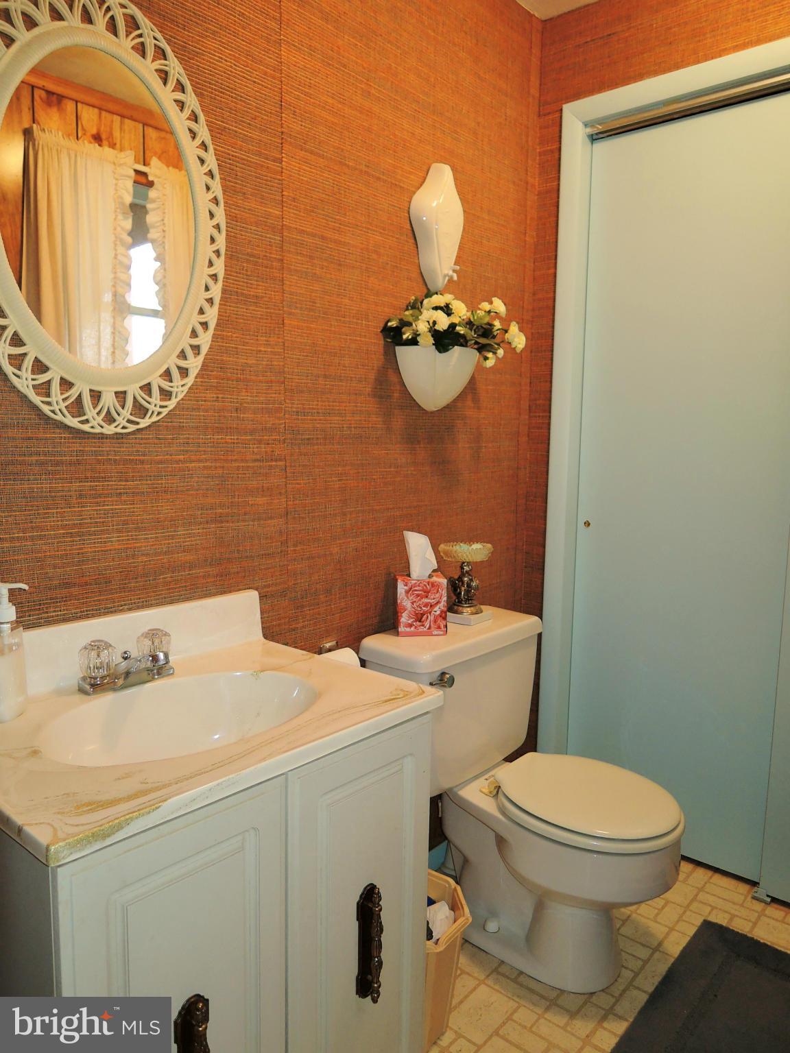 1010 Cold Bottom Road Sparks, MD 21152 - Photo 23 of 30 a bathroom with a sink and a mirror