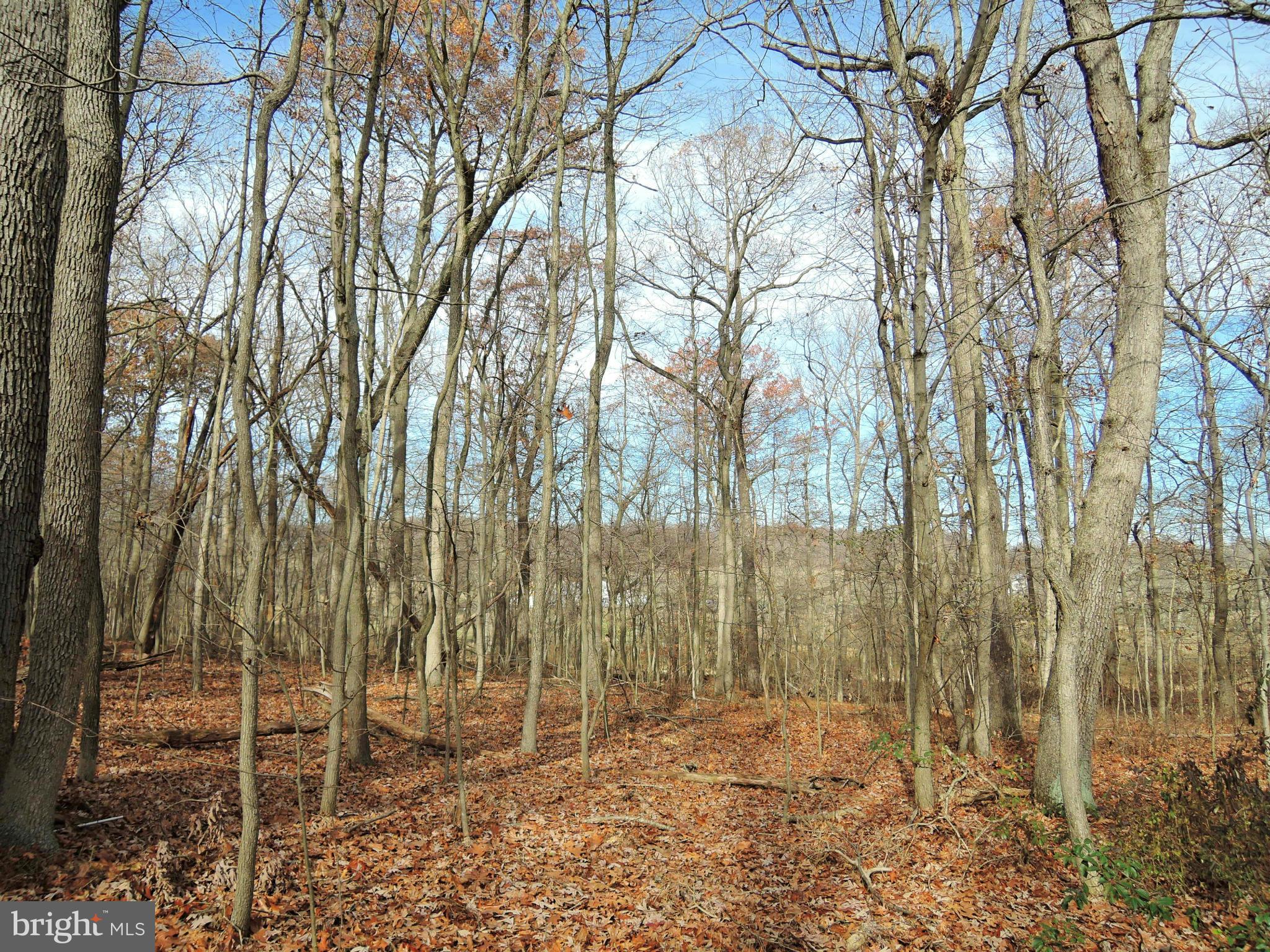 1010 Cold Bottom Road Sparks, MD 21152 - Photo 29 of 30 a view of an outdoor space