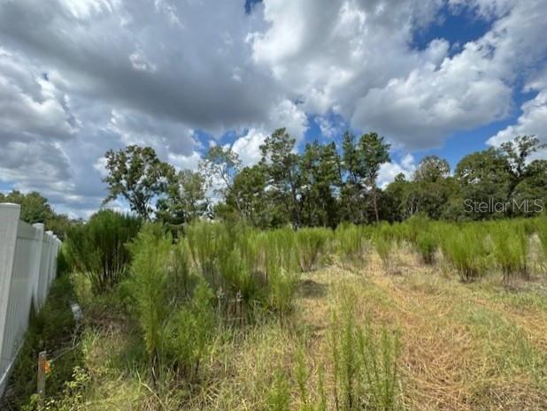 Tbd Southwest 109th Loop Ocala, FL 34476 - Photo 7 of 11 a view of a lake