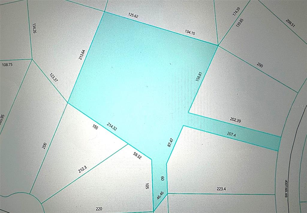 Tbd Southwest 109th Loop Ocala, FL 34476 - Photo 10 of 11 a view of a back yard