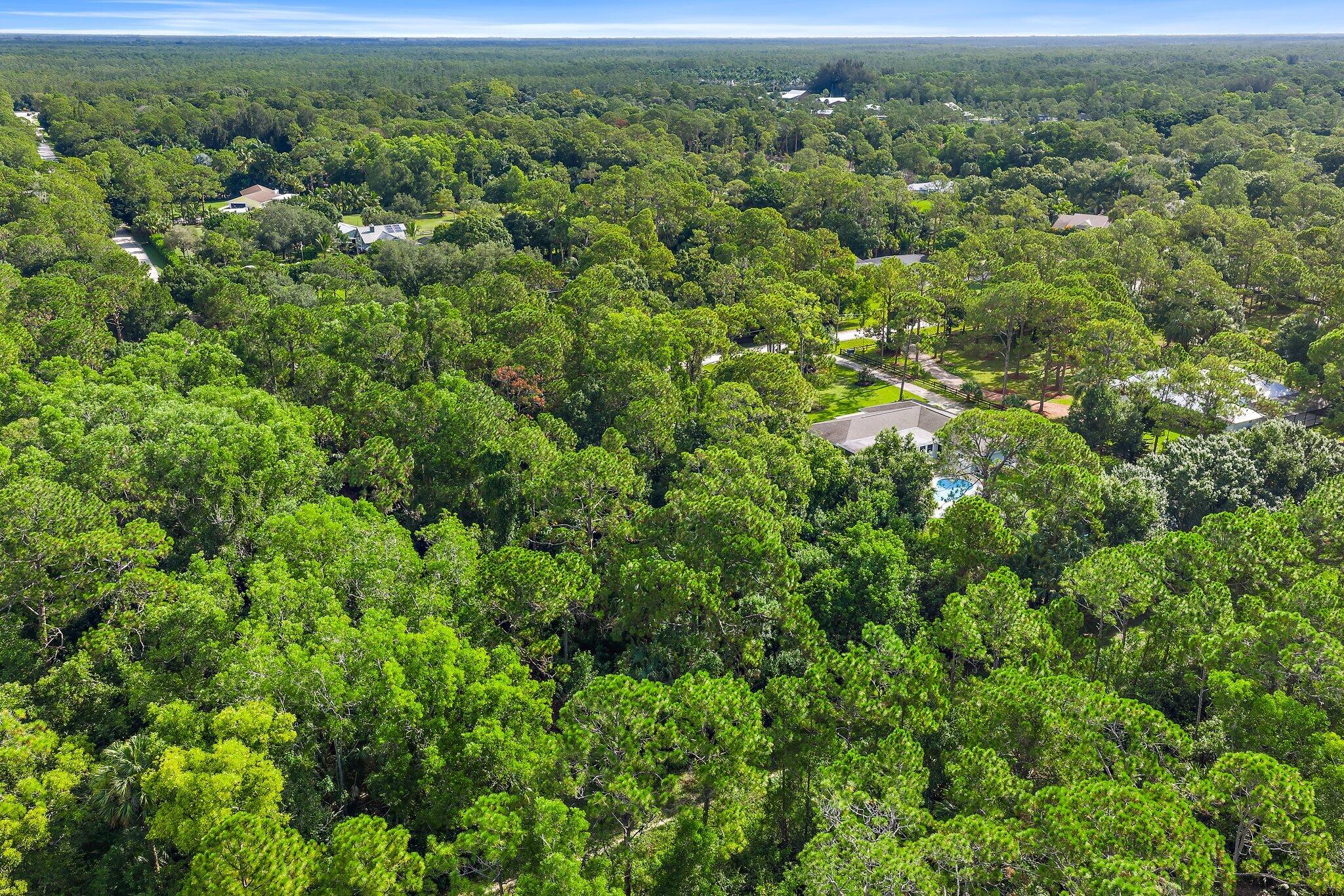 Tbd 175th Road North Jupiter, FL 33478 - Photo 11 of 29 009-175thLot-JupiterFarms-SMALL