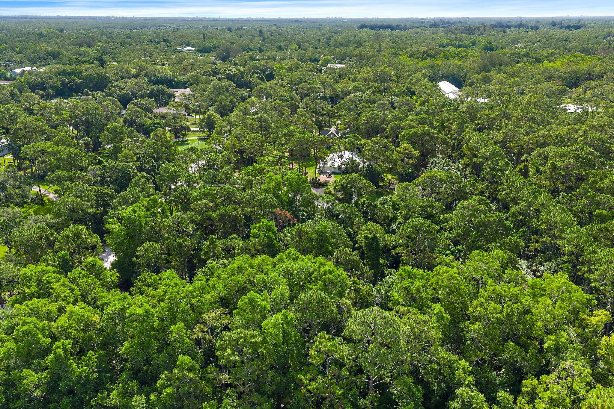Tbd 175th Road North Jupiter, FL 33478 - Photo 13 of 29 011-175thLot-JupiterFarms-SMALL