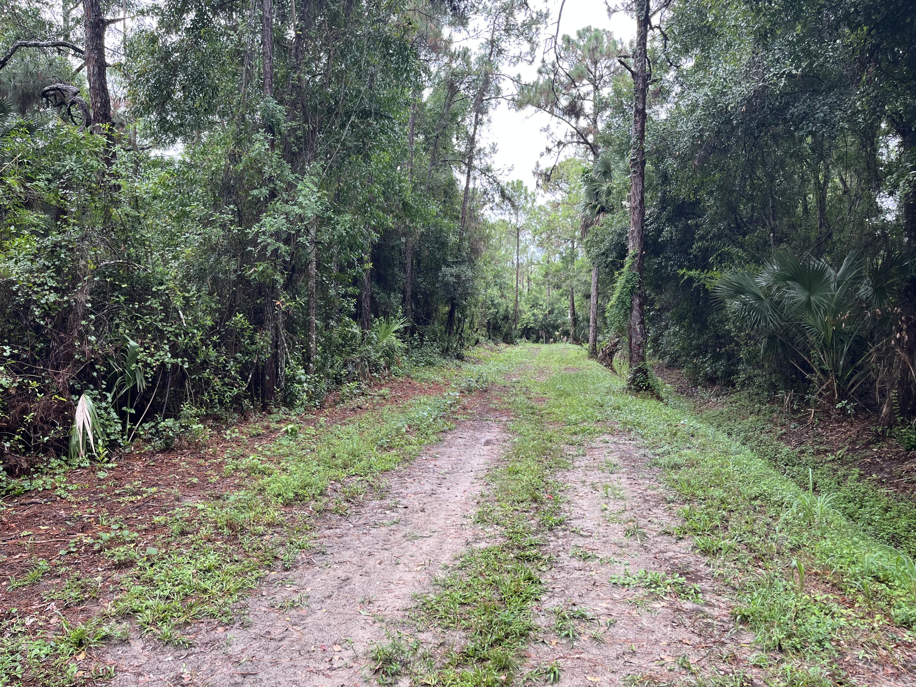 Tbd 175th Road North Jupiter, FL 33478 - Photo 23 of 29 IMG_8673