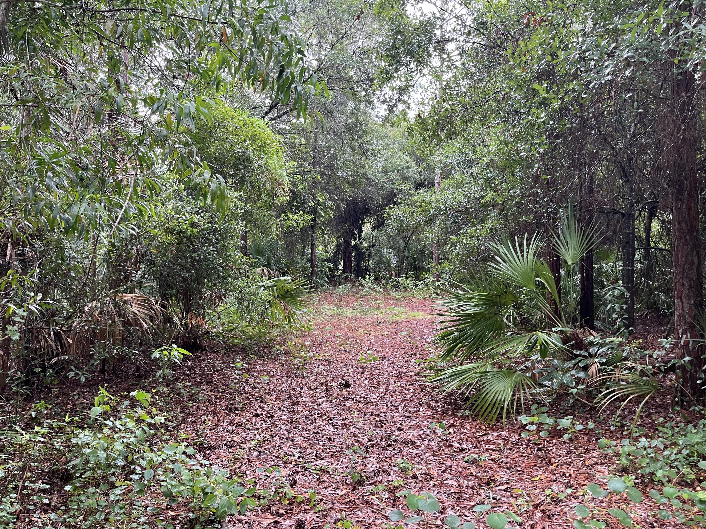 Tbd 175th Road North Jupiter, FL 33478 - Photo 24 of 29 IMG_8674