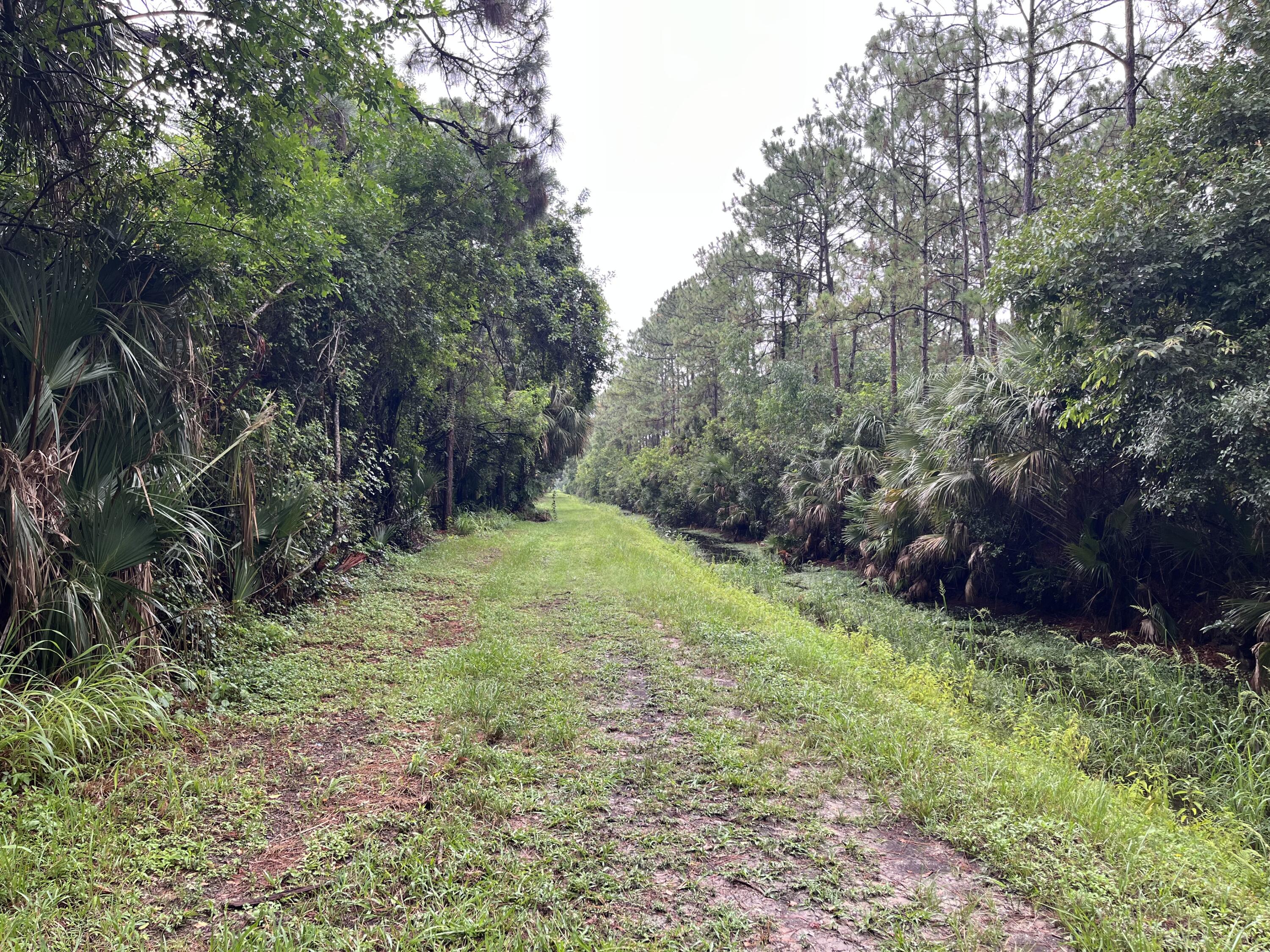 Tbd 175th Road North Jupiter, FL 33478 - Photo 25 of 29 IMG_8675