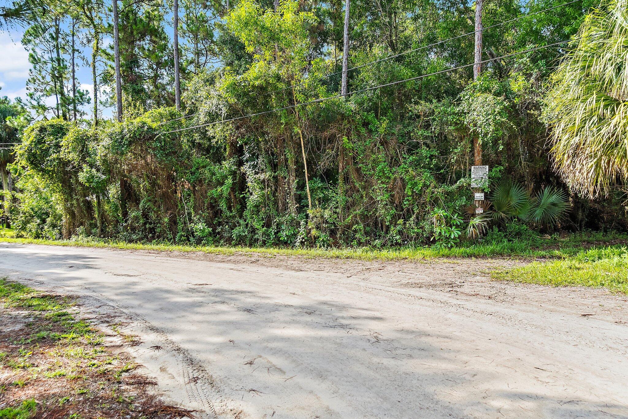 Tbd 175th Road North Jupiter, FL 33478 - Photo 3 of 29 003-175thLot-JupiterFarms-SMALL