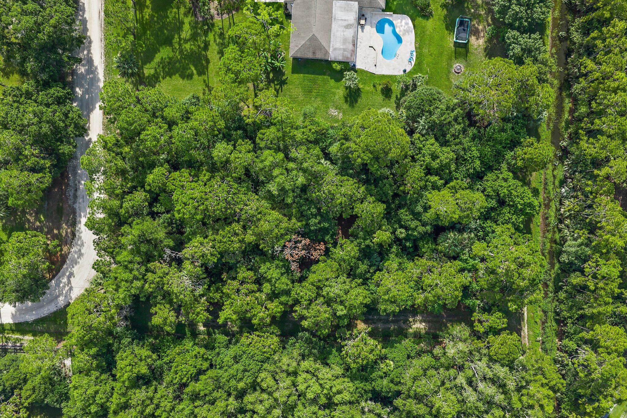 Tbd 175th Road North Jupiter, FL 33478 - Photo 4 of 29 013-175thLot-JupiterFarms-SMALL