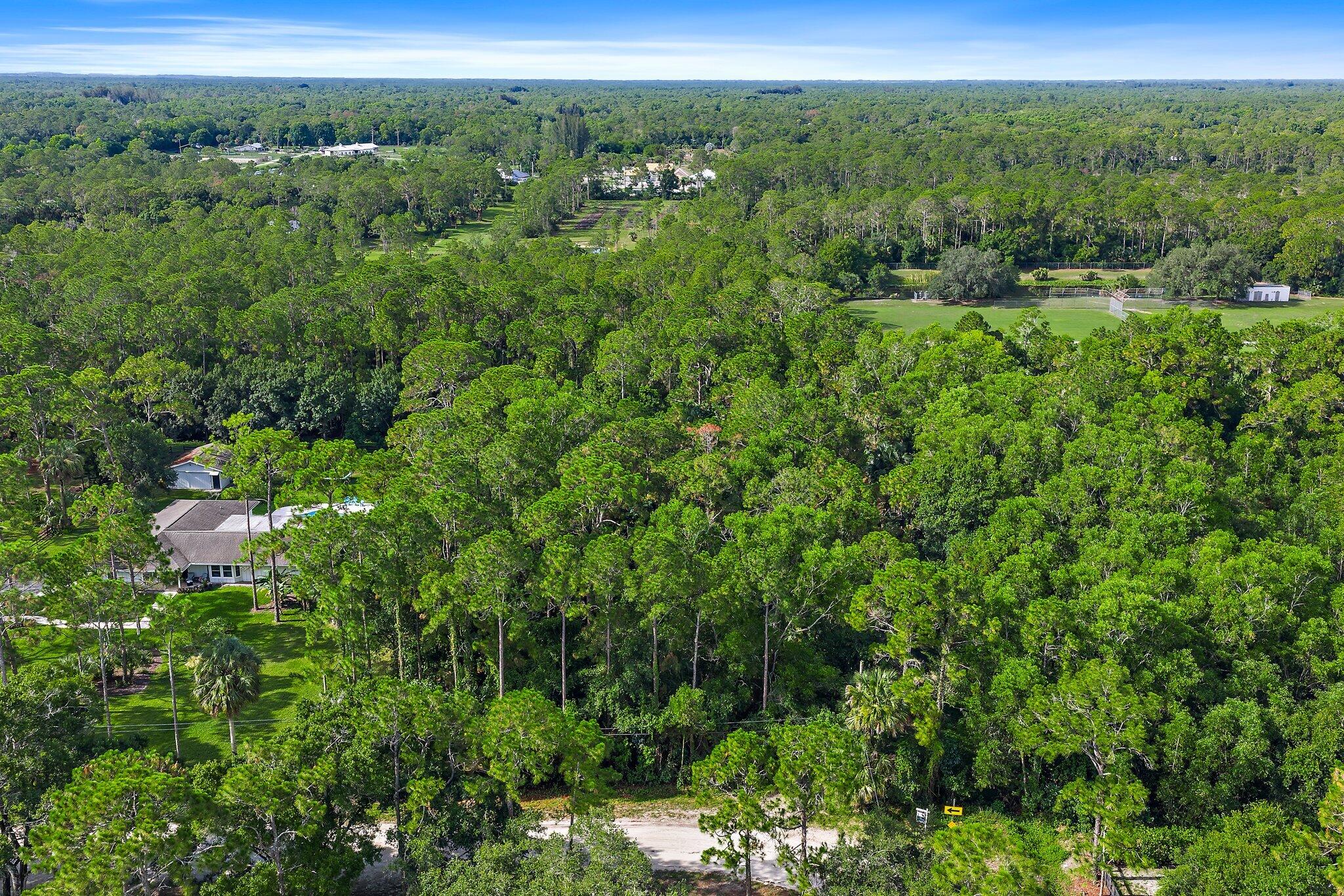 Tbd 175th Road North Jupiter, FL 33478 - Photo 6 of 29 004-175thLot-JupiterFarms-SMALL
