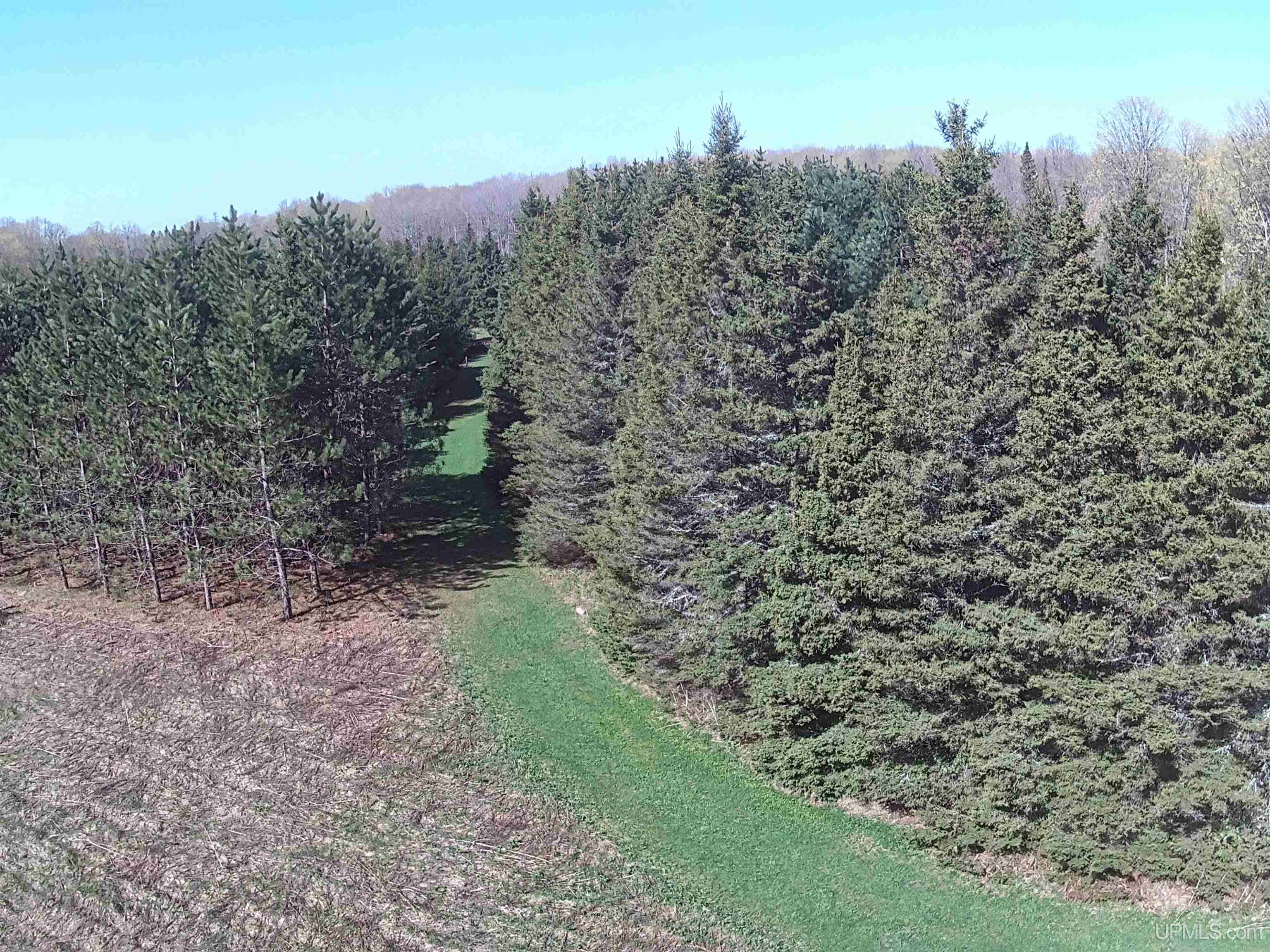 Tbd County H26 Road Rock, MI 49880 - Photo 19 of 20