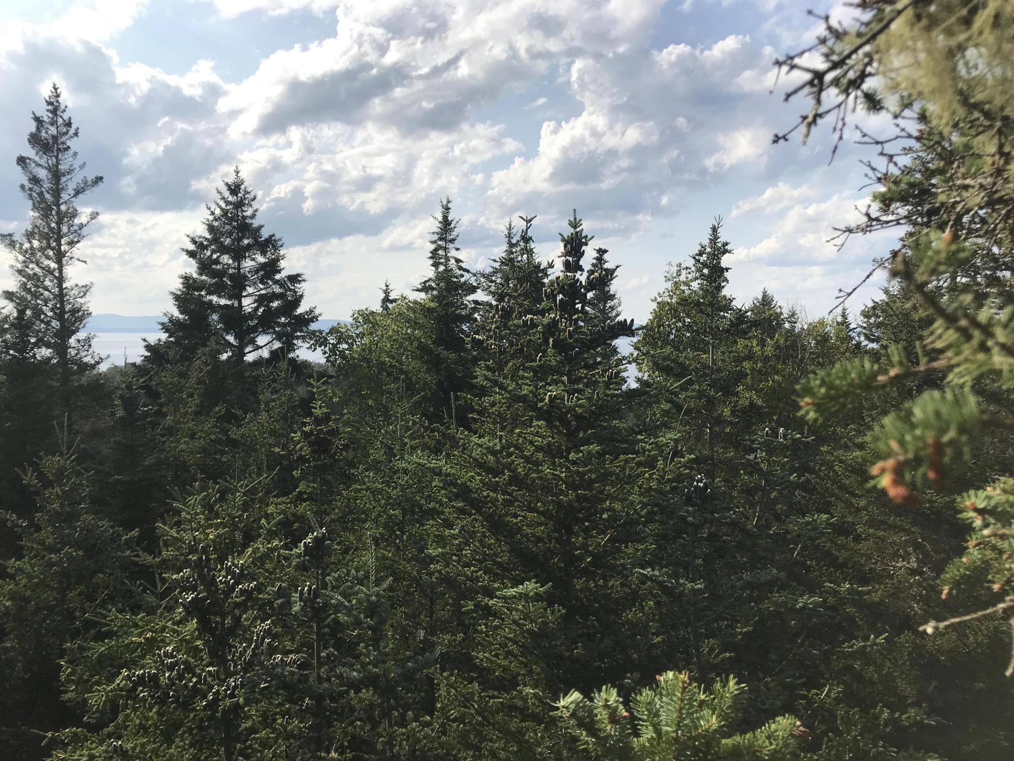# West District Road North Haven, ME 04853 - Photo 10 of 11 gRK7mspfSuCqLBkyHTTqhg