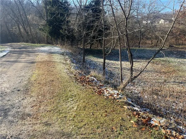 a view of a yard with trees