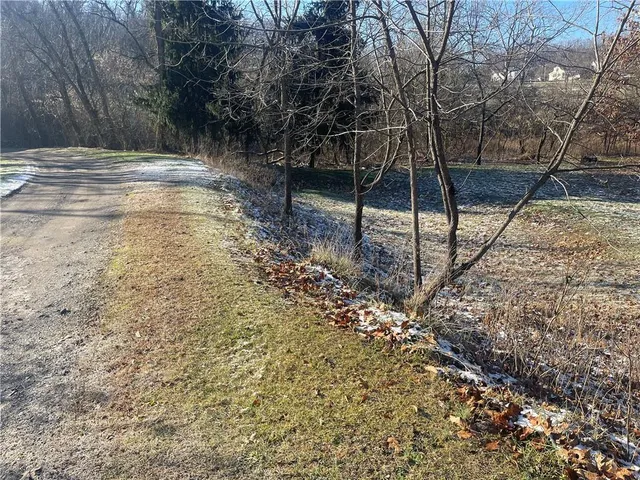 a view of a yard with trees