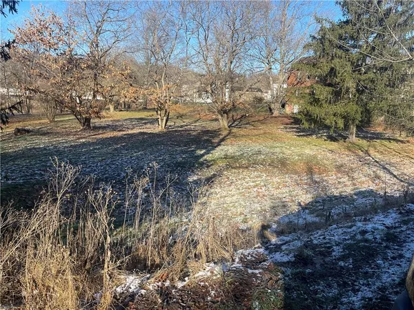 a view of dirt yard with a large tree