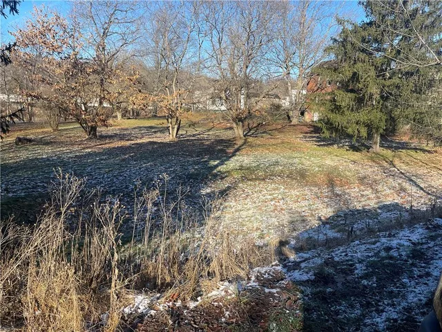 a view of dirt yard with a large tree