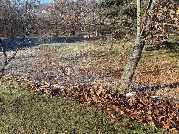 a view of outdoor space and a yard