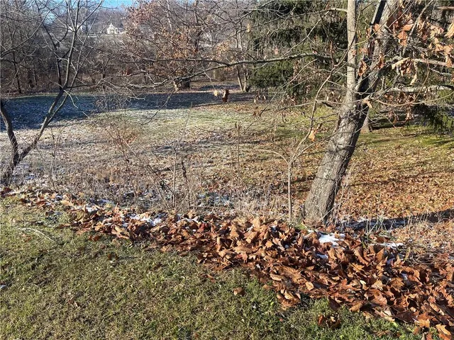 a view of outdoor space and a yard