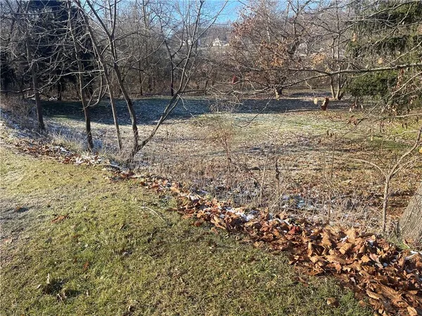 a view of yard