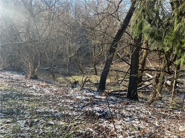 a view of a yard