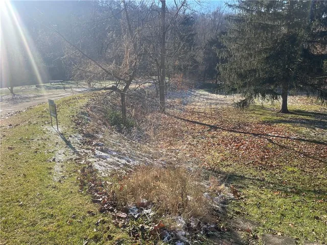 a view of a yard with a tree