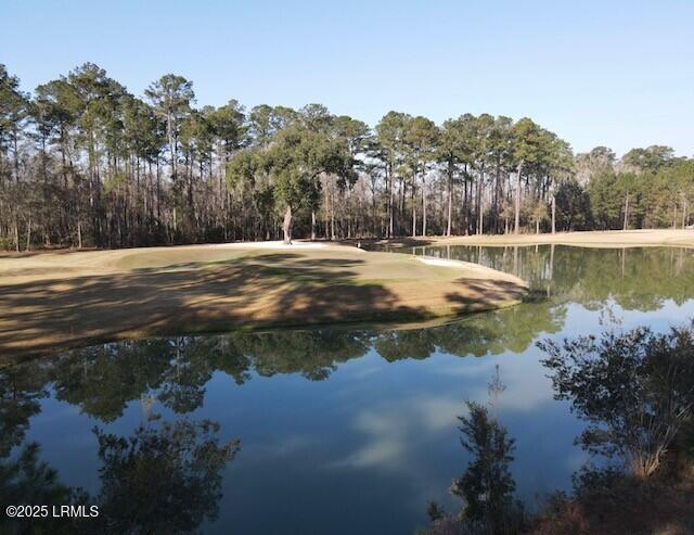 113 Oleander Way Hardeeville, SC 29927 - Photo 32 of 88 3