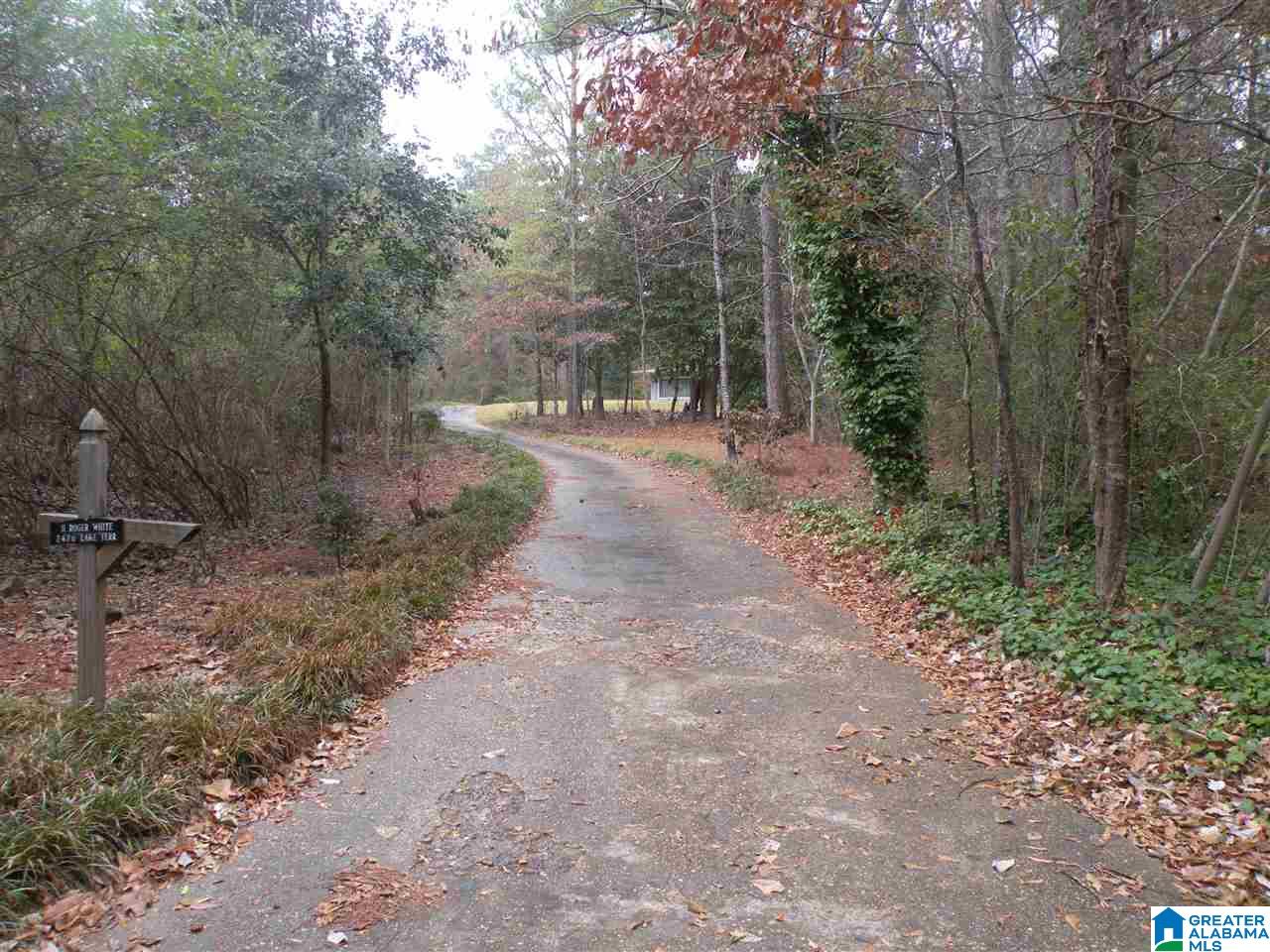 2426 Lake Terrace Road Sylacauga, AL 35150 - Photo 2 of 21