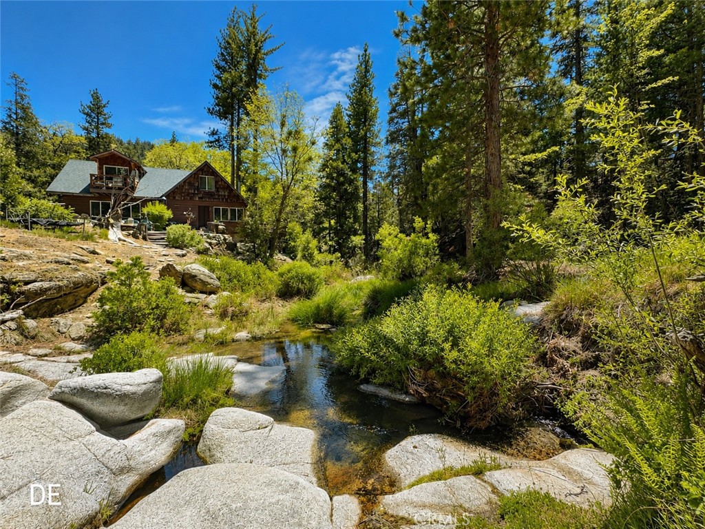 52915 Forest Rte 4S02 Idyllwild, CA 92549 - Photo 15 of 30