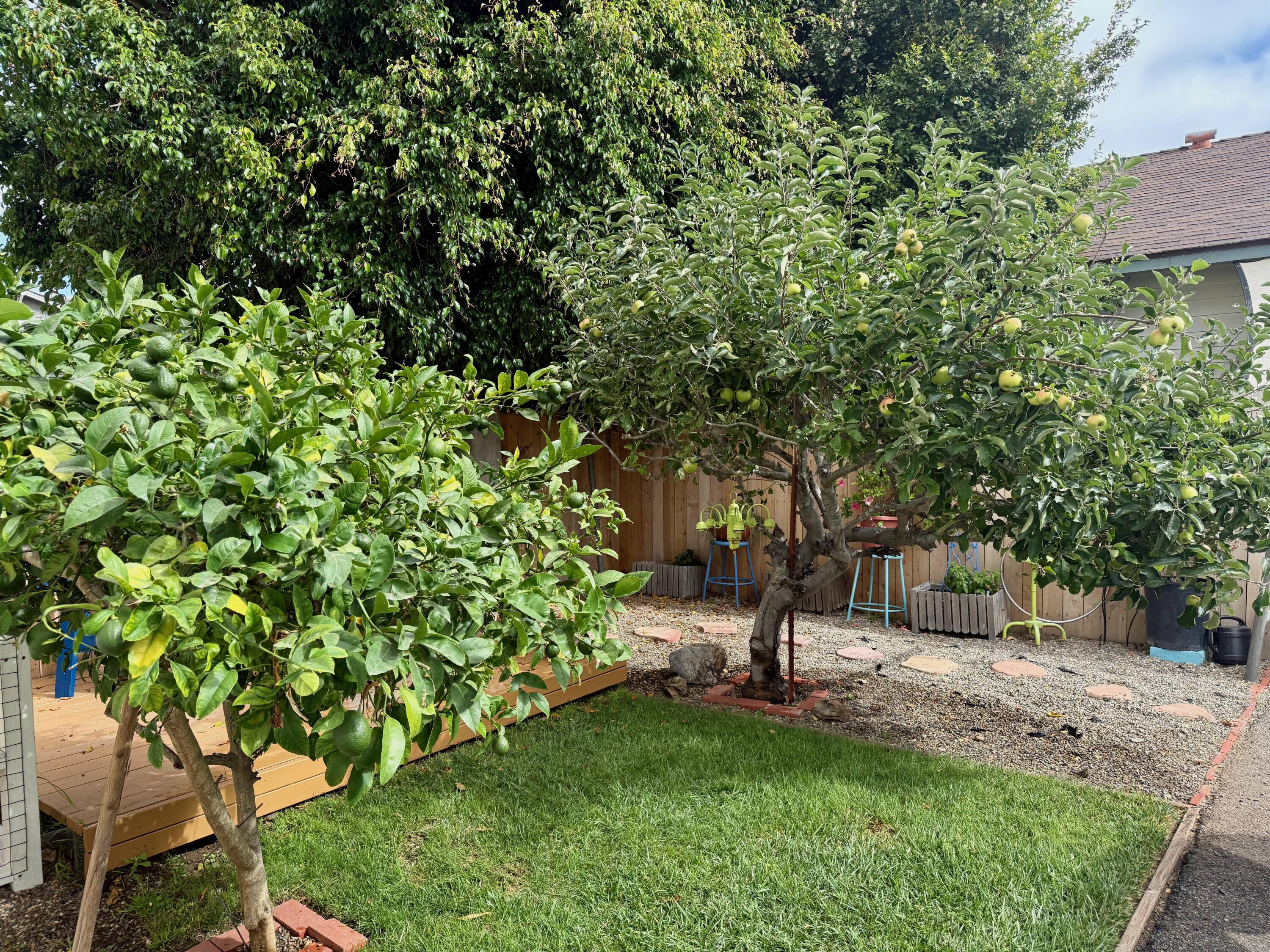 1808 Castillo Street, Unit E Santa Barbara, CA 93101 - Photo 18 of 19 IMG_1783