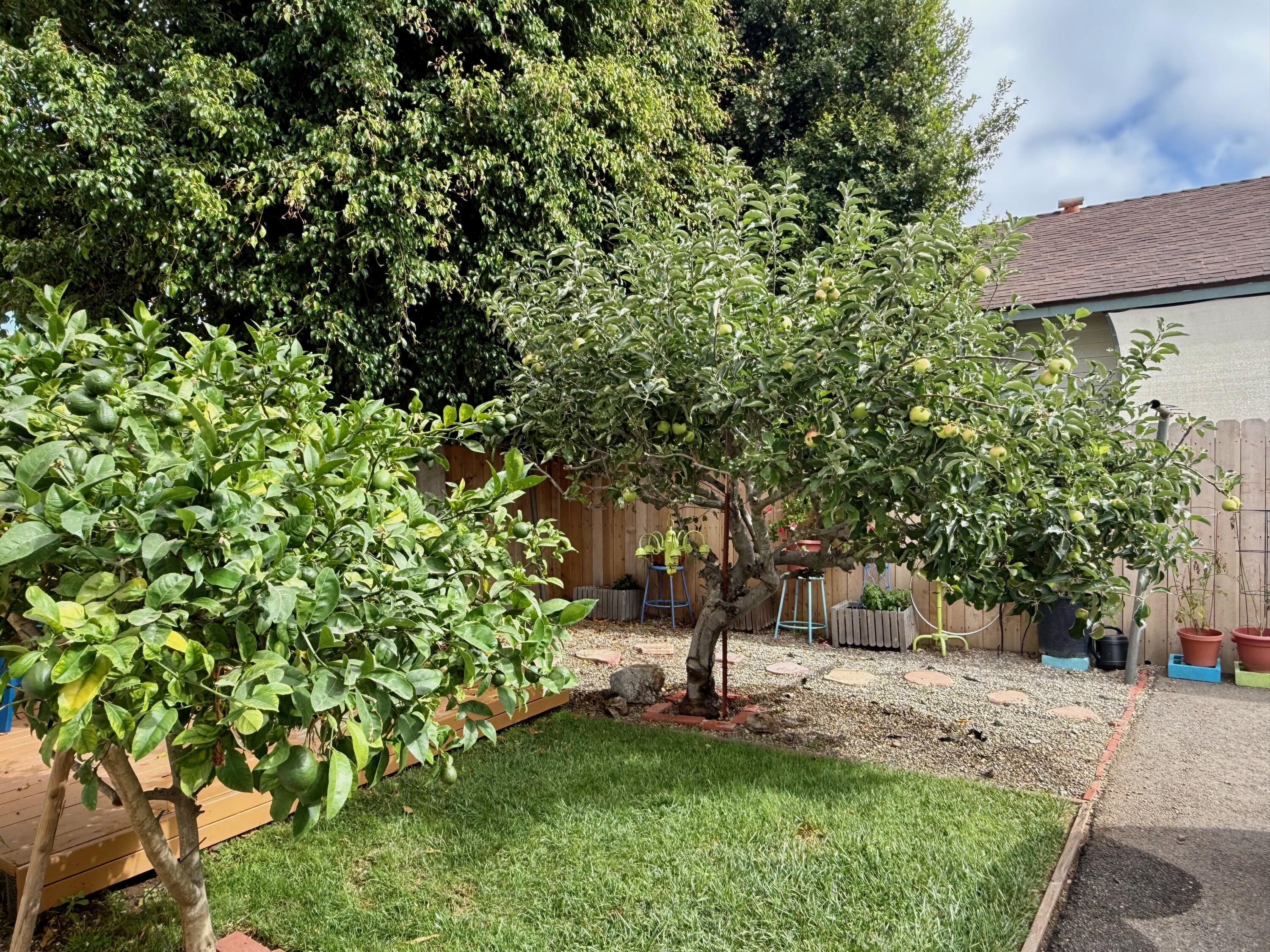 1808 Castillo Street, Unit E Santa Barbara, CA 93101 - Photo 19 of 19 IMG_1784