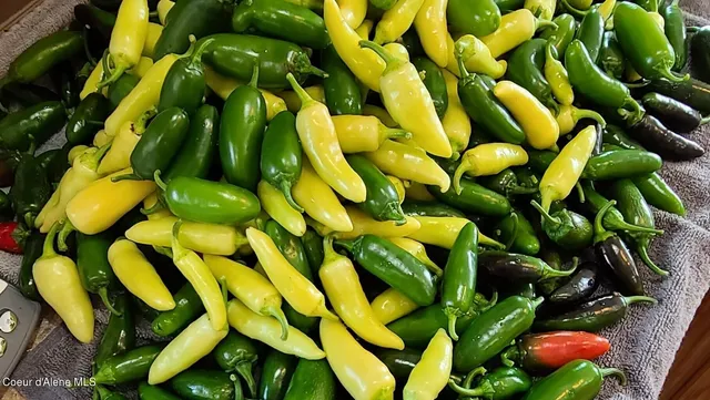 $799,000 | 671 Kelso Woods Drive, Athol, ID 83801