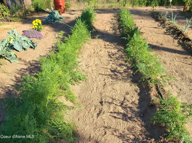 $799,000 | 671 Kelso Woods Drive, Athol, ID 83801