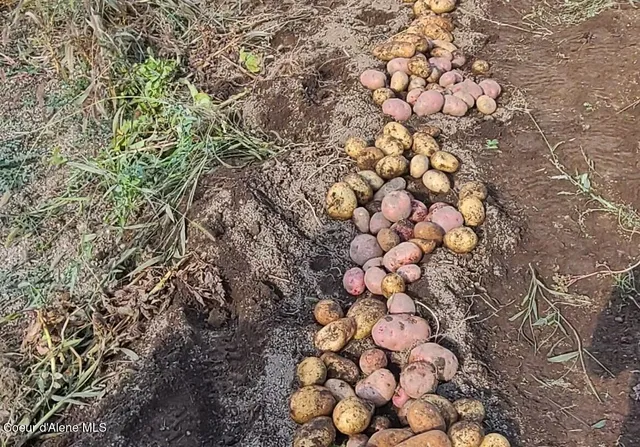 $799,000 | 671 Kelso Woods Drive, Athol, ID 83801