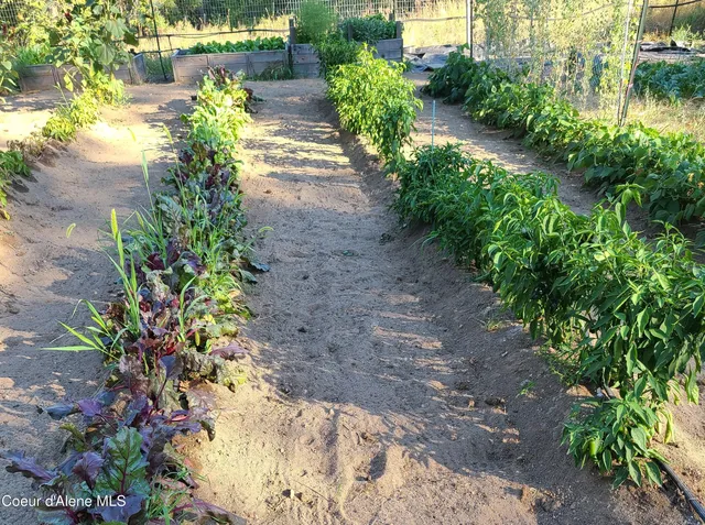 $799,000 | 671 Kelso Woods Drive, Athol, ID 83801