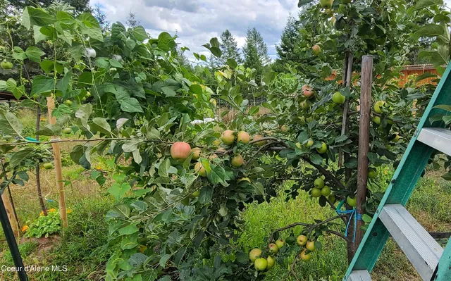 $799,000 | 671 Kelso Woods Drive, Athol, ID 83801