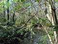 Lucas Road Liberty, MS 39645 - Photo 1 of 1 Main View