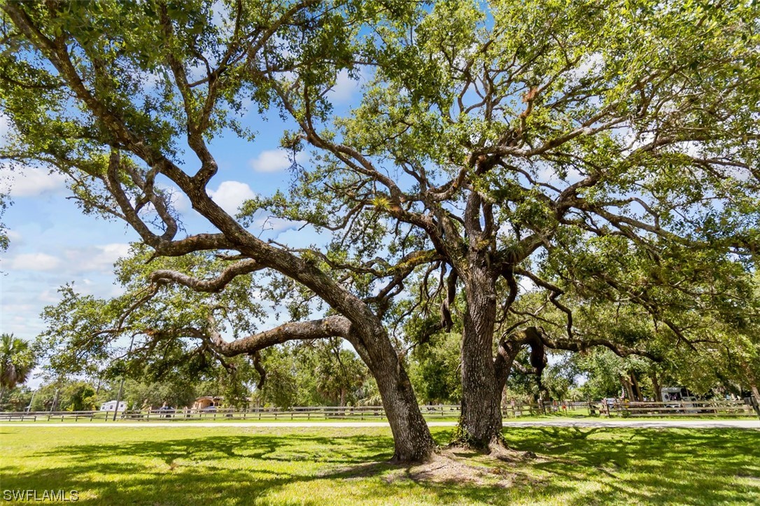 15051 Orange River Road Fort Myers, FL 33905 - Photo 45 of 50 Gallery Image 45