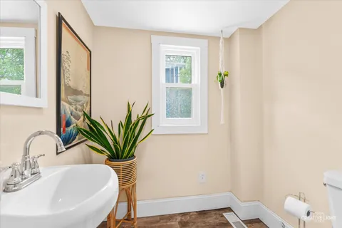 a bathroom with a sink a potted plant and a window