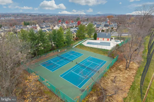 a view of a tennis ground with a large tree