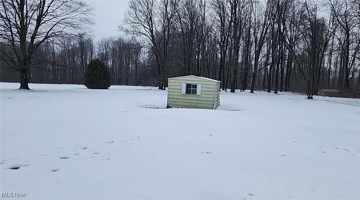 3113 Hague Road Orwell, OH 44076 - Photo 8 of 23 Yard layered in snow with a storage shed