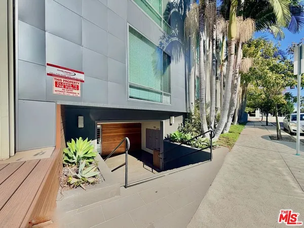 a view of a street with potted plants and large trees