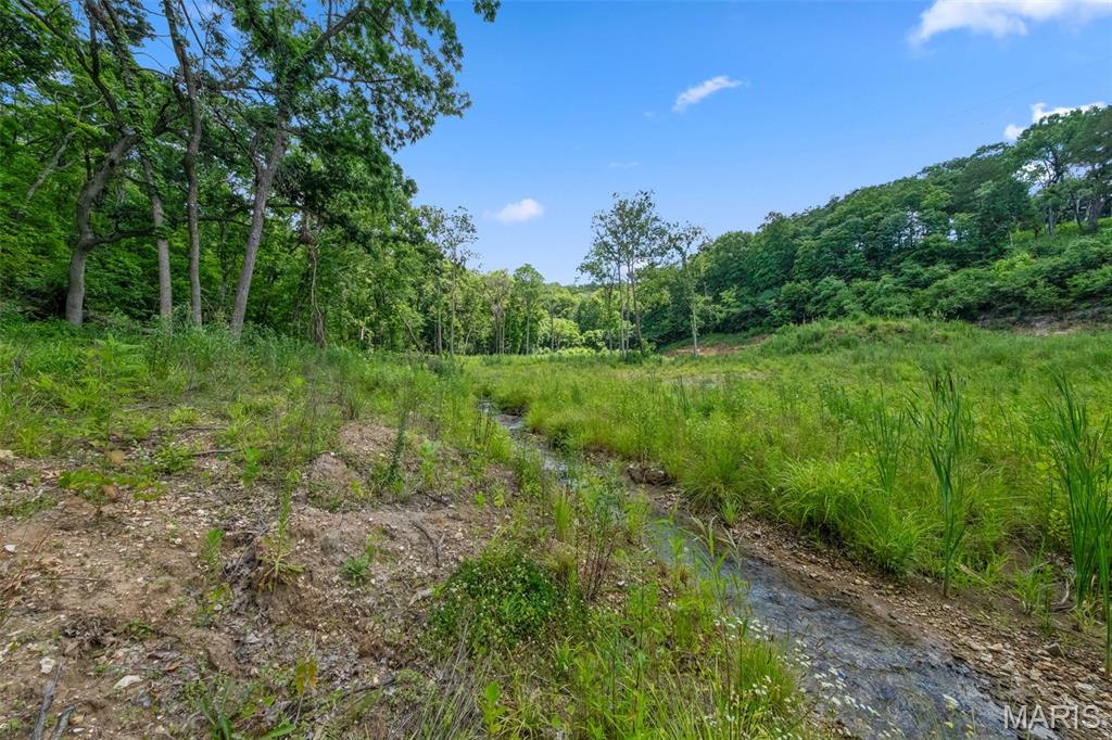 12.5-ac Twin River Road Eureka, MO 63025 - Photo 6 of 16