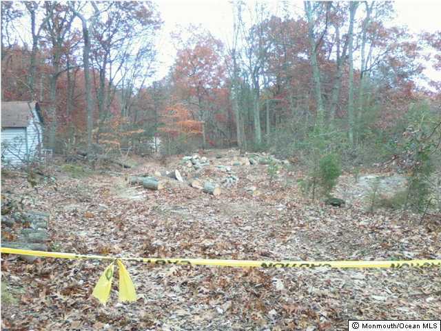 0 Tower Road, Unit REAR New Egypt, NJ 08533 - Photo 1 of 3 Primary Photo