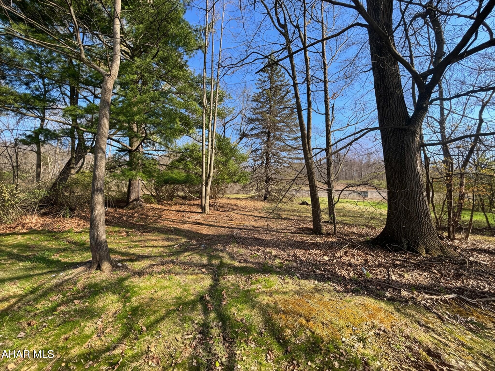 0 Sandy Run Road Altoona, PA 16601 - Photo 6 of 10