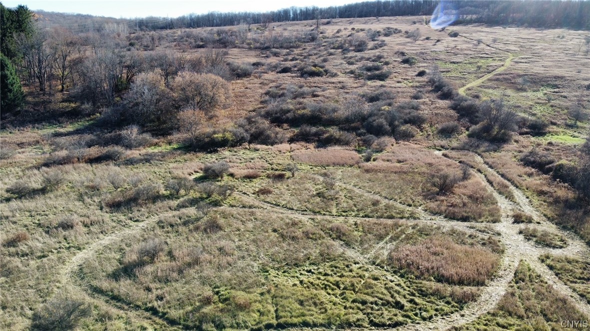 0 Starr Road Cortland, NY 13045 - Photo 2 of 7