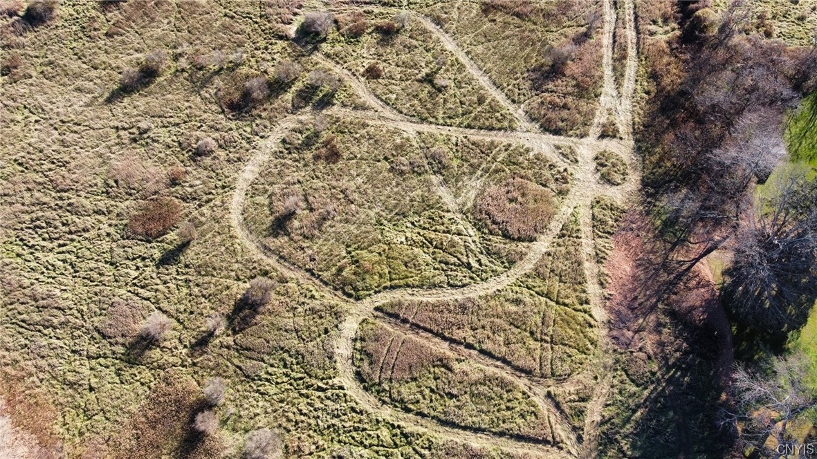 0 Starr Road Cortland, NY 13045 - Photo 3 of 7