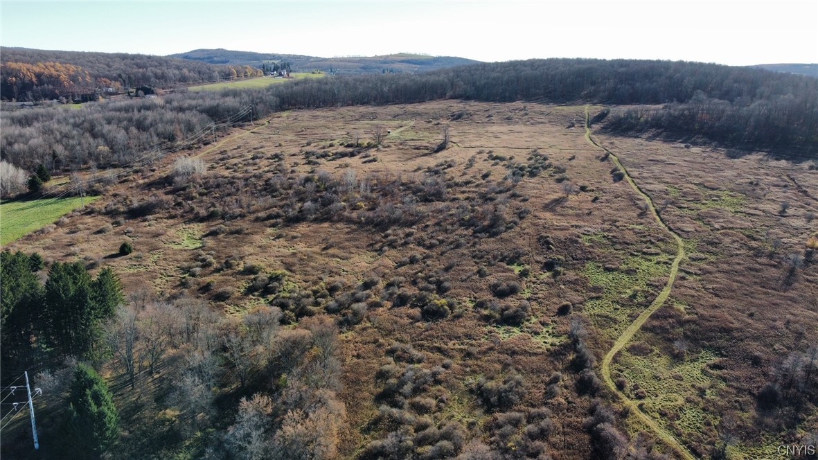 0 Starr Road Cortland, NY 13045 - Photo 4 of 7