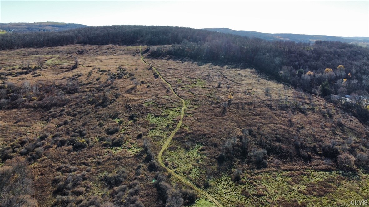 0 Starr Road Cortland, NY 13045 - Photo 5 of 7